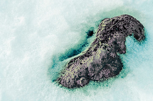 Rock Emerging From Melting Snow (Blue Tint Photo)