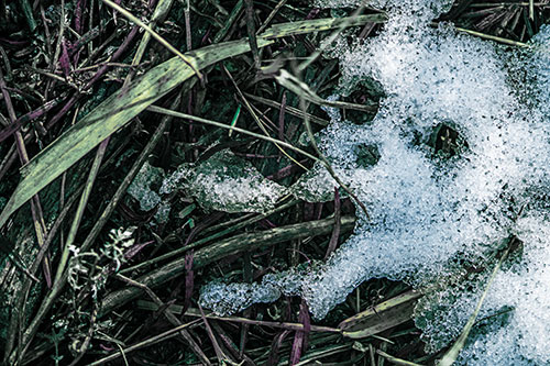 Sad Mouth Melting Ice Face Creature Among Soggy Grass (Blue Tint Photo)