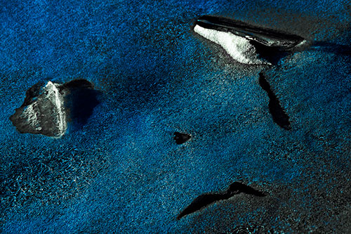 Sad Teardrop Ice Face Appears Atop Frozen River (Blue Tint Photo)