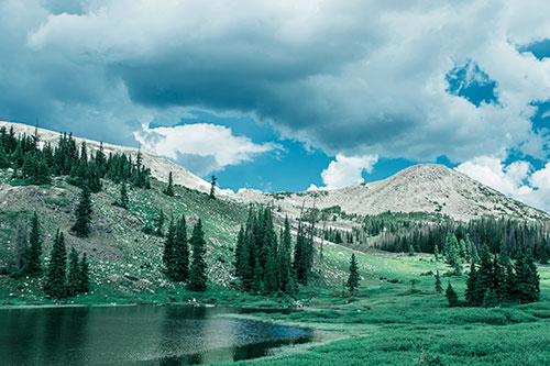 Scattered Trees Along Mountainside (Blue Tint Photo)