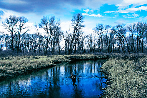 Shadow Casting Trees Along Riverbend (Blue Tint)