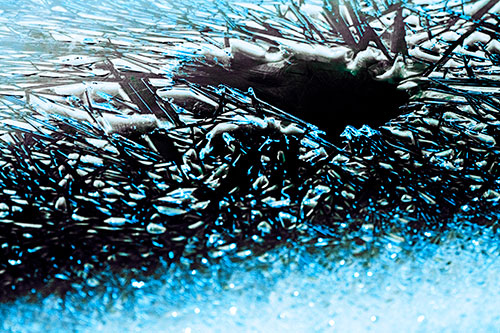 Shattered Ice Crystals Surround Water Hole (Blue Tint Photo)