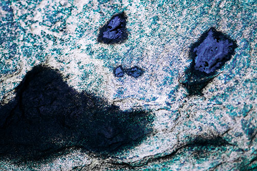 Shocked Puddle Face Drying Among Rock Surface (Blue Tint Photo)