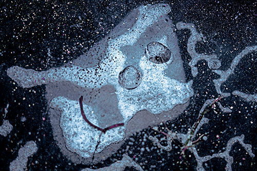 Smiley Bubble Eyed Block Face Below Frozen River Ice Water (Blue Tint Photo)