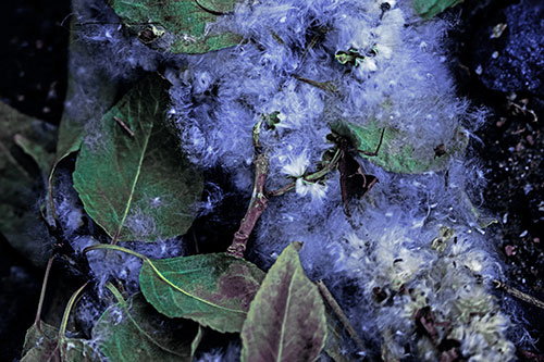 Smiling Cotton Stick Face Among Fallen Leaves (Blue Tint)