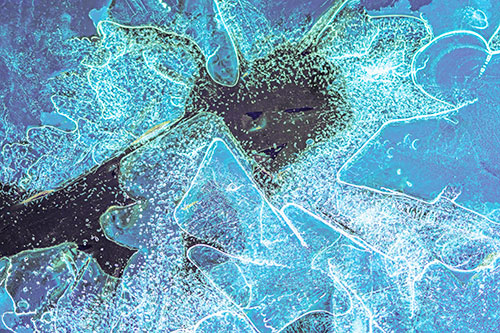 Smug Ice Face Among Frozen River Water (Blue Tint)