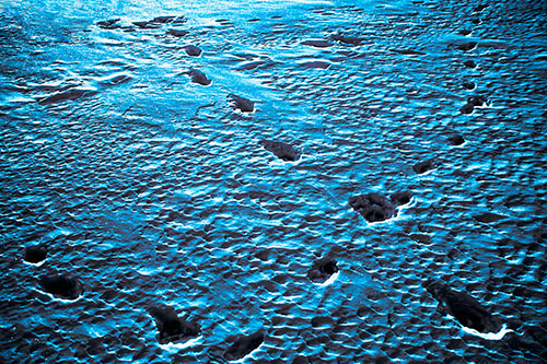 Snow Footprint Trails Crossing Paths (Blue Tint Photo)