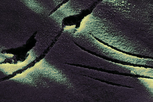 Snowy Bird Footprint Claw Marks (Blue Tint Photo)
