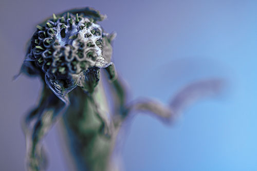 Spiky Headed Gumplant Figure Pointing The Way (Blue Tint)