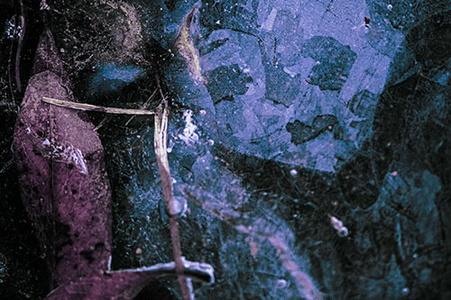 Terrified Ice Face Frozen Beside Leaf (Blue Tint Photo)