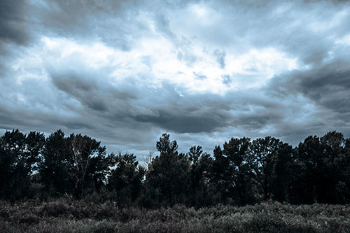 Thunderstorm Clouds Brewing Above Tree Line (Blue Tint)