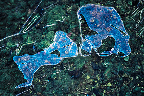 Translucent Frozen Big Eyed Alien Ice Bubble Figure Atop River (Blue Tint Photo)