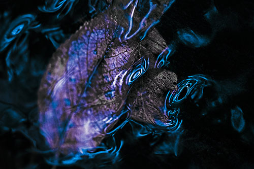 Water Ripple Faced Leaf In Submerged Trance (Blue Tint)