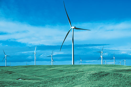 Wind Turbine Cluster Scattered Across Land (Blue Tint Photo)