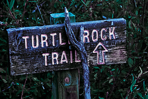 Wooden Turtle Rock Trail Sign (Blue Tint Photo)