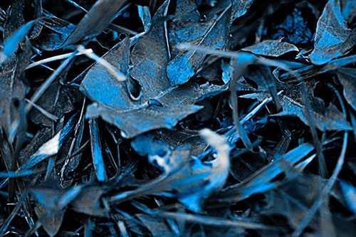 Angry Rotting Triangular Leaf Face (Blue Tone)