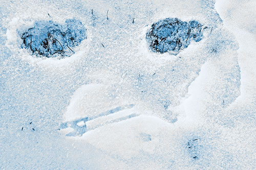 Beak Mouthed Footprint Face Among Snow (Blue Tone)