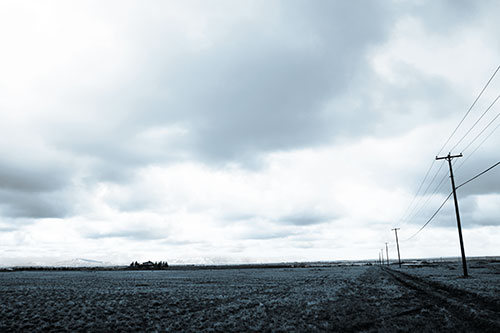 Bleak Clouded Sky Consumes Powerline Prairie (Blue Tone Photo)