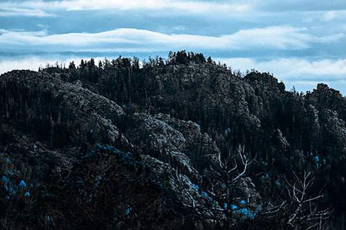 Cloudy Summit Trailhead Mountain Top (Blue Tone Photo)