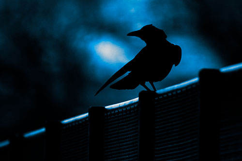Crow Silhouette Atop Guardrail (Blue Tone)