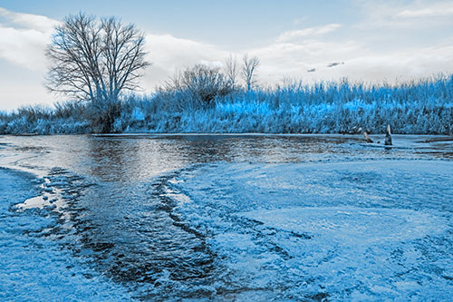 Dead Trees Surround Ice Melting River (Blue Tone)