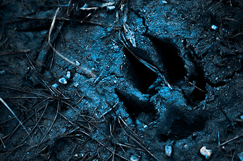 Deep Muddy Dog Footprint (Blue Tone Photo)