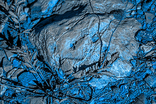 Demonic Leaf Mouthed Rock Face Snarling Among Dirt (Blue Tone)