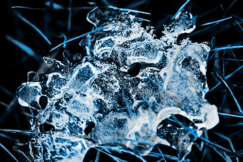 Dismayed Ice Dragon Face Frozen Among Piercing Grass Blades (Blue Tone)
