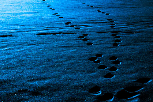 Footprint Trail Across Snow Covered Lake (Blue Tone Photo)