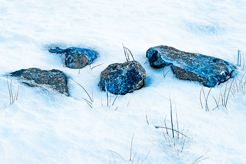 Four Big Rocks Buried In Snow (Blue Tone Photo)