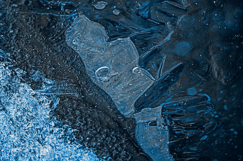 Frozen Bubble Eyed Ice Face Figure Along River Shoreline (Blue Tone Photo)