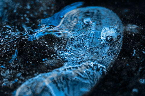 Frozen Distorted Bubble Eyed Ice Face (Blue Tone Photo)