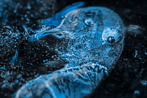 Frozen Distorted Bubble Eyed Ice Face (Blue Tone)