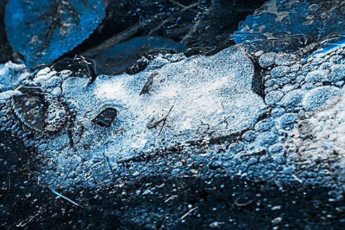 Frozen Rubber Eyed Ice Face Smiling Among Floating Leaves (Blue Tone)