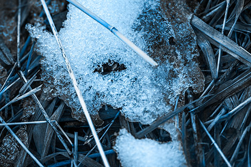 Half Melted Ice Face Smirking Among Reed Grass (Blue Tone)