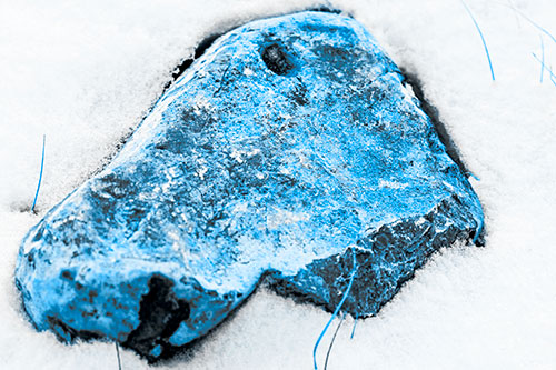 Horse Faced Rock Imprinted In Snow (Blue Tone Photo)