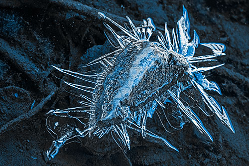 Jagged Spiked Ice Surrounds Water Submerged Rock (Blue Tone)
