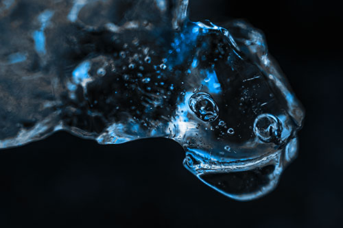 Joyful Frozen Bubble Eyed River Ice Face Creature (Blue Tone Photo)