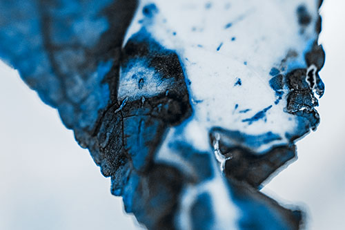 Joyful Rotting Leaf Face Enjoying Autumn (Blue Tone)