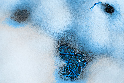 Joyful Soil Face Appears Beneath Melting Snow (Blue Tone Photo)
