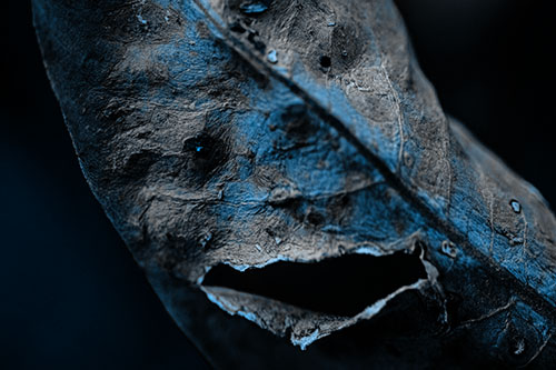 Lacerated Mouth Leaf Face Smirking Among Decay (Blue Tone)