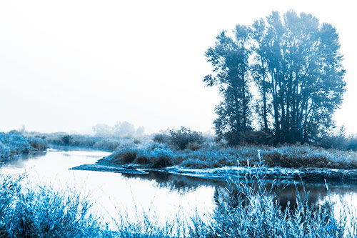 Large Foggy Trees At Edge Of River Bend (Blue Tone Photo)