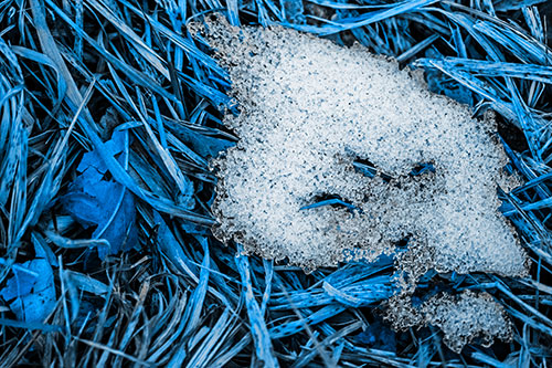 Miserable Slanted Grass Eyed Snow Face (Blue Tone)