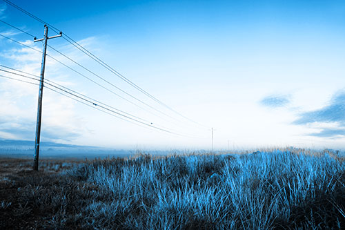 Powerlines Descend Among Foggy Prairie (Blue Tone Photo)