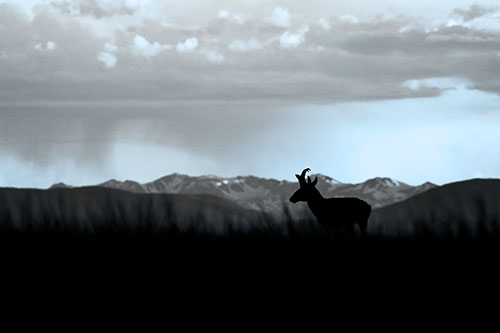 Pronghorn Silhouette Overtakes Stormy Mountain Range (Blue Tone)