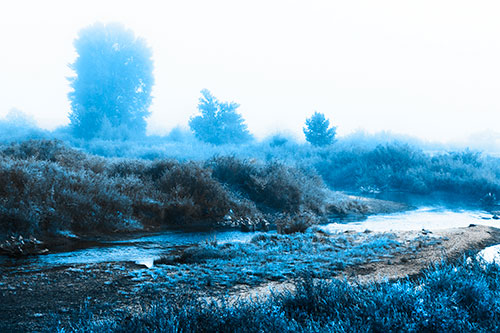 River Flowing Along Foggy Vegetation (Blue Tone Photo)