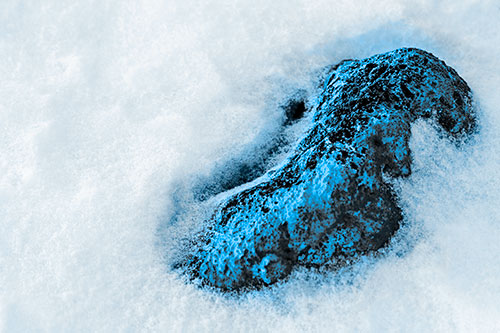 Rock Emerging From Melting Snow (Blue Tone Photo)