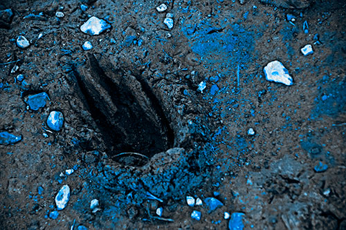 Rocks Surround Deep Mud Paw Footprint (Blue Tone Photo)
