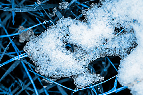 Sad Melting Grass Tangled Snow Face (Blue Tone)