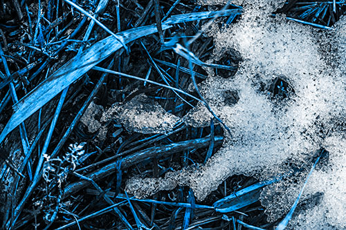 Sad Mouth Melting Ice Face Creature Among Soggy Grass (Blue Tone Photo)